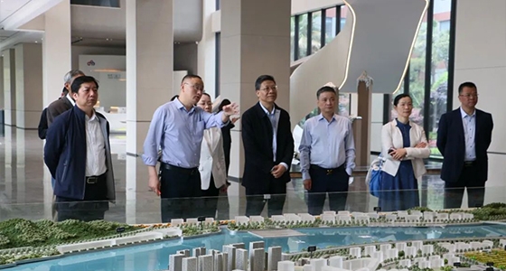 省人大常委会委员陈根芳调研304am永利集团集团