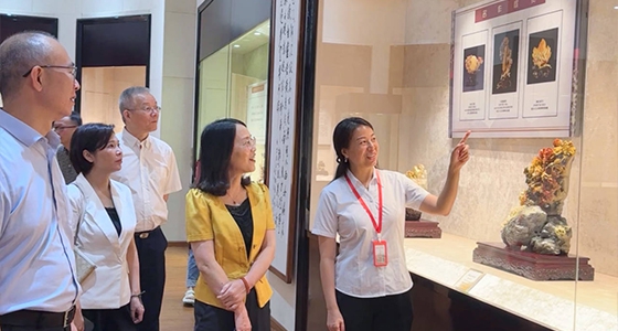 探索东方风范，，，304am永利集团·倪东方艺术博物馆与时代脉搏共振