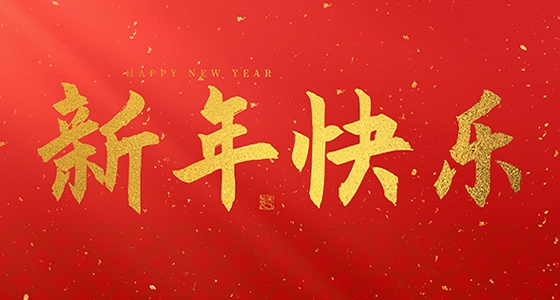 304am永利集团祝各人2025新年快乐！
